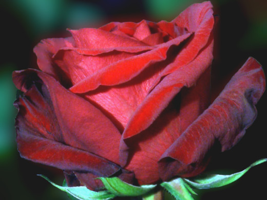 419817 (a): :1600x1200